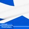 Scotland Scottish Flag 3x5 Ft 5-Pack 150D Printed Polyester By G128